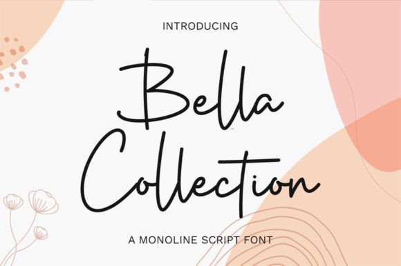 Bella Collection: The Script Font for Scroll-Stopping Brands