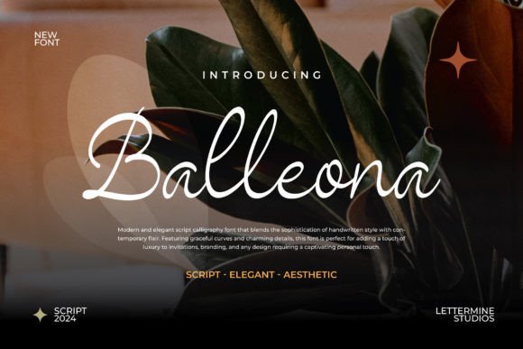Elevate Your Shop with the Balleona Font Typeface