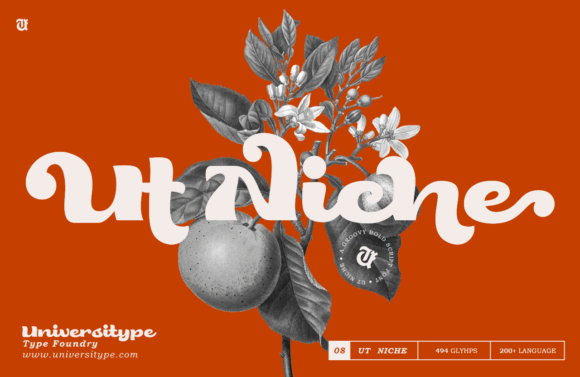 Ut Niche: A Playful Script Font for Modern Web Design